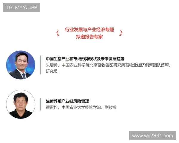 财经直播新趋势：解码市场动态与投资机遇